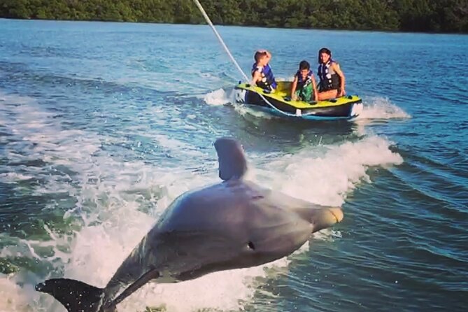 Marco Island Private Tubing, Dolphin Watching and Shelling Tour - Key Highlights You’ll Care About