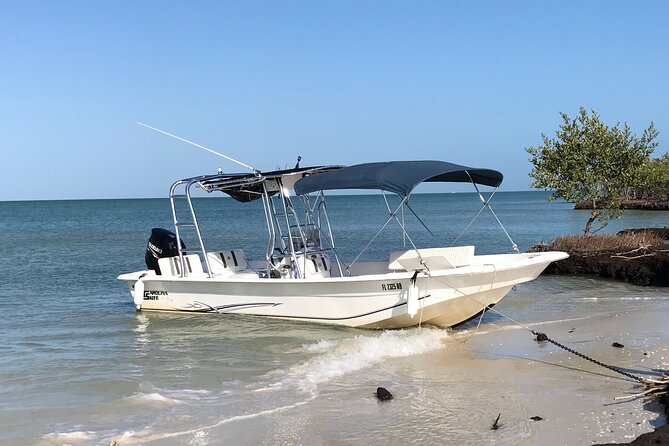Marco Island Private Tubing, Dolphin Watching and Shelling Tour - Price and What $695 Buys for a Group Up to 6