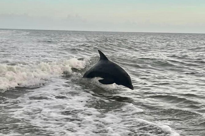 Marco Island Sunset Cruise- Private 2 Hour - Should You Book This Marco Island Private Sunset Cruise?