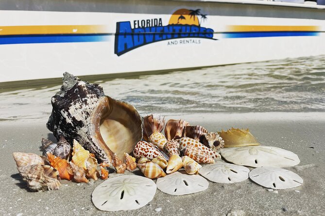 Marco Island Wildlife Sightseeing and Shelling Tour - Entering The Goodland Boat Park: where your trip really starts
