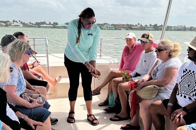 Marco Island Wildlife Sightseeing and Shelling Tour - Dolphin and manatee spotting: what to expect (and how to stay flexible)
