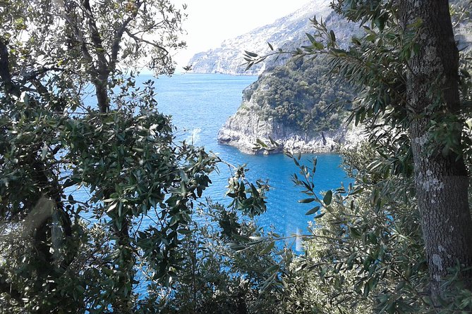 Minivan Tour | Amalfi Ravello and Pompeii with driver - How pickup from Naples Port or Sorrento sets you up for a better day