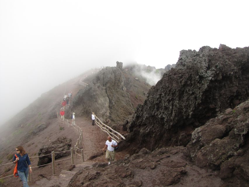Mount Vesuvius 4-Hour Volcano Tour with Wine Tasting - The Bay of Naples viewpoints: what to look for