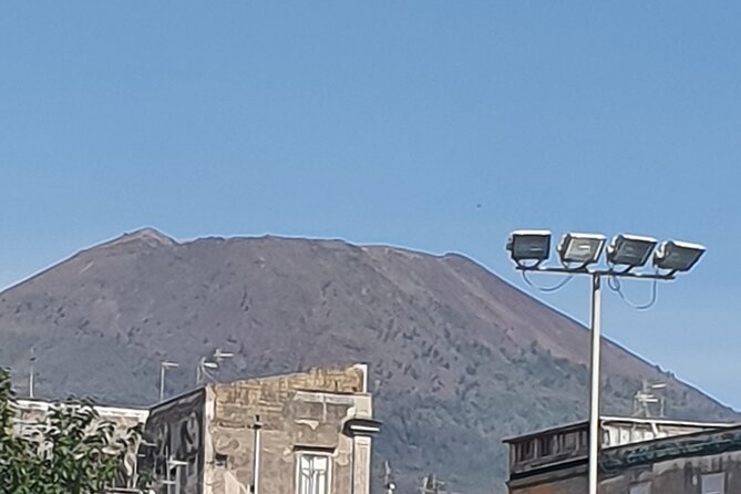 Mount Vesuvius and Pompeii private tour - Private Vesuvius and Pompeii: why this day-trip feels easier