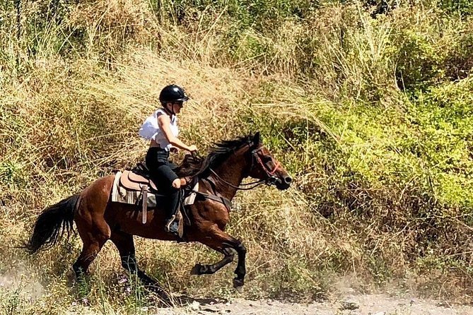 Mount Vesuvius Guided Horse Riding Tour with Sample Wine - The horseback ride: what 1.5 to 2 hours on Vesuvius really feels like