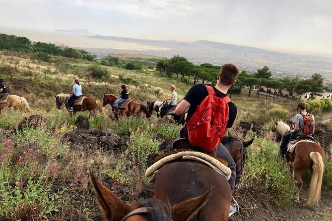 Mount Vesuvius Guided Horse Riding Tour with Sample Wine - Value check: why $107.68 can make sense (or not)