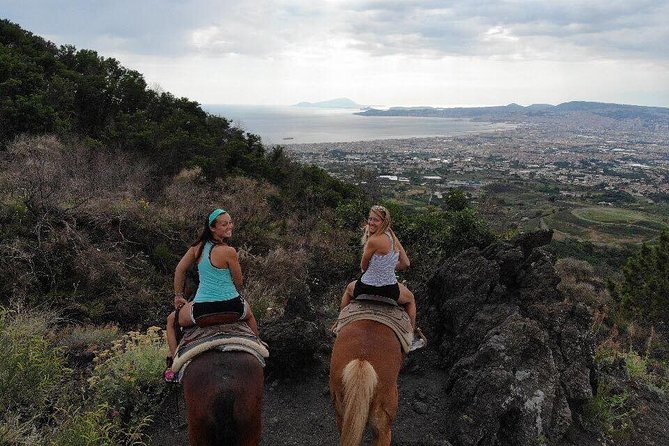 Mount Vesuvius Guided Horse Riding Tour with Sample Wine - Who this tour fits best in Naples (and who should pass)