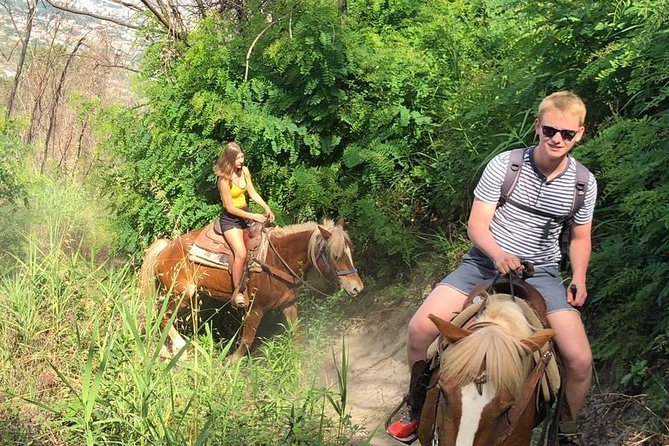 Mount Vesuvius Guided Horse Riding Tour with Sample Wine - Should you book this Mount Vesuvius horseback ride with wine?