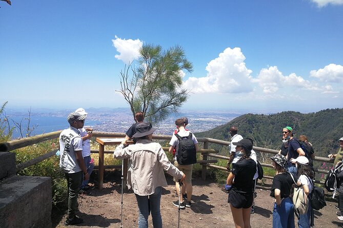 Mount Vesuvius Shore Tour, Pompeii & Winery Vesuvius Winery - Stop 3: Vesuvius National Park crater tour and Gulf views that hit hard
