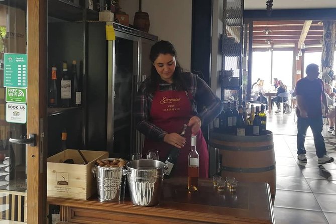 Mount Vesuvius Shore Tour, Pompeii & Winery Vesuvius Winery - Tips to make your day smoother (small moves, big payoff)