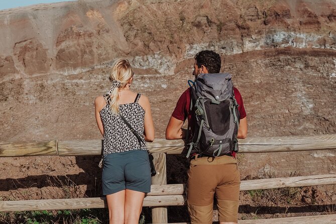 Mount Vesuvius Skip the Line Ticket + Multilingual Audio Guide - Quick hits before you go