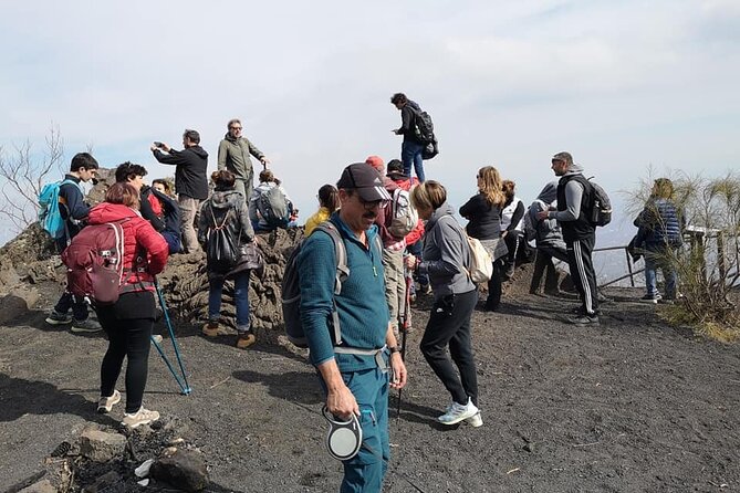 Mount Vesuvius tour by bus and ticket included from Ercolano - Stop at Parco Nazionale del Vesuvio: what Path n°5 really gives you