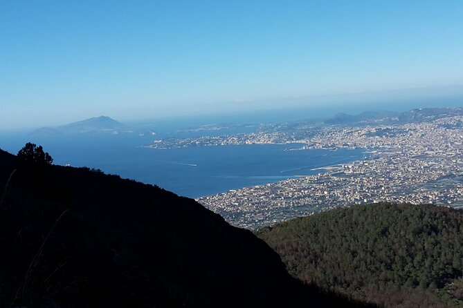 Mount Vesuvius tour by bus and ticket included from Ercolano - Price and logistics: is $50.33 good value?