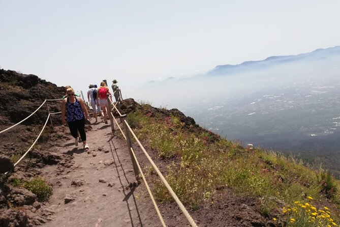 Mount Vesuvius tour by bus and ticket included from Ercolano - The good fit: who will enjoy this most