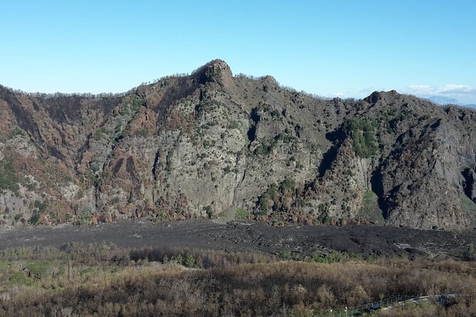 Mount Vesuvius tour by bus and ticket included from Ercolano - Who should reconsider (or plan extra carefully)