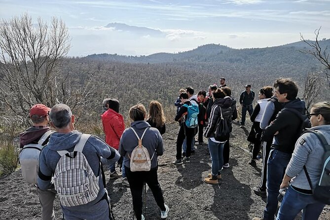 Mount Vesuvius tour by bus and ticket included from Ercolano - Meeting at I Point Ercolano: arrive early and keep it simple