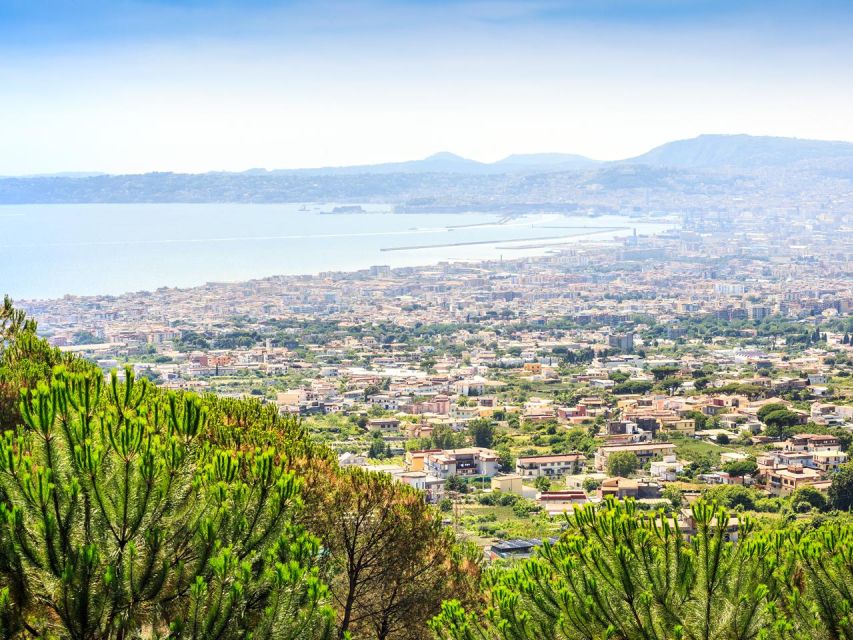 Mount Vesuvius Tour from Pompeii - Inside Mount Vesuvius National Park: Your Own Pace, 1.5 Hours