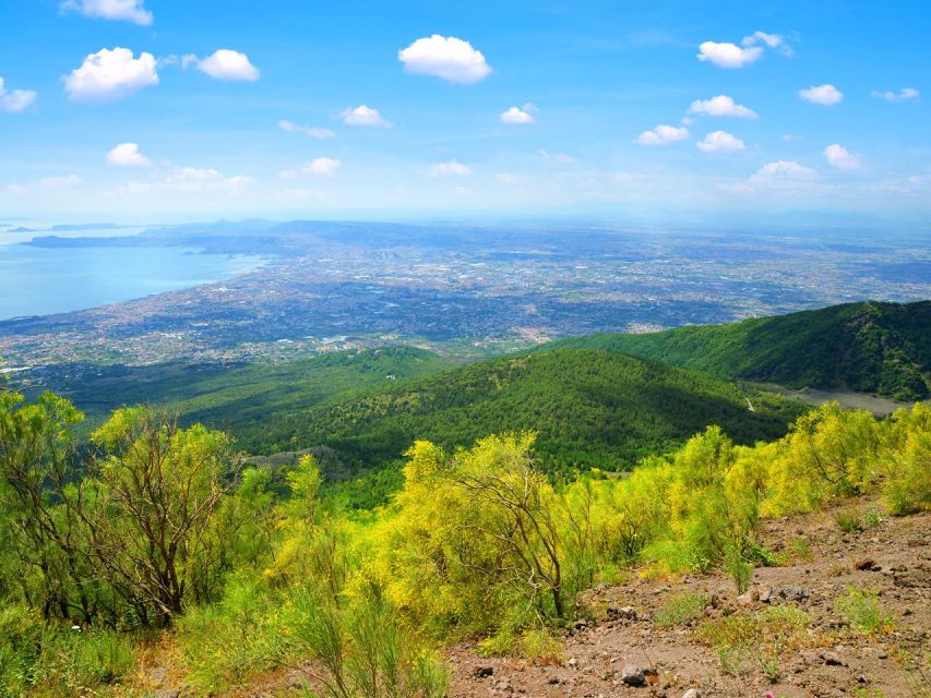 Mount Vesuvius Tour from Pompeii - Weather Reality: The Herculaneum Plan If Vesuvius Closes