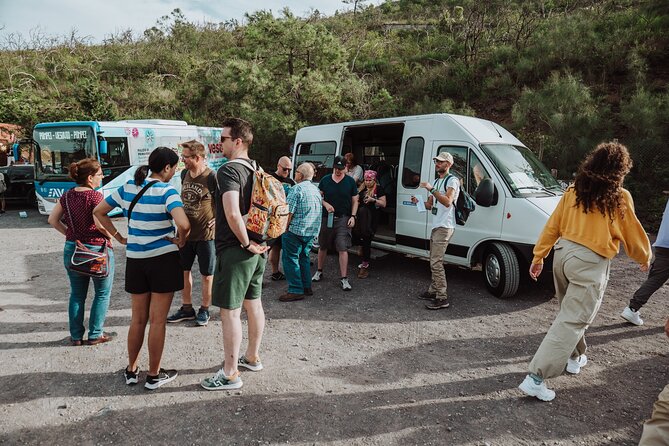 Mount Vesuvius Tour from Pompeii Led by an Expert Guide - Price and value: what you’re paying for at $78.64