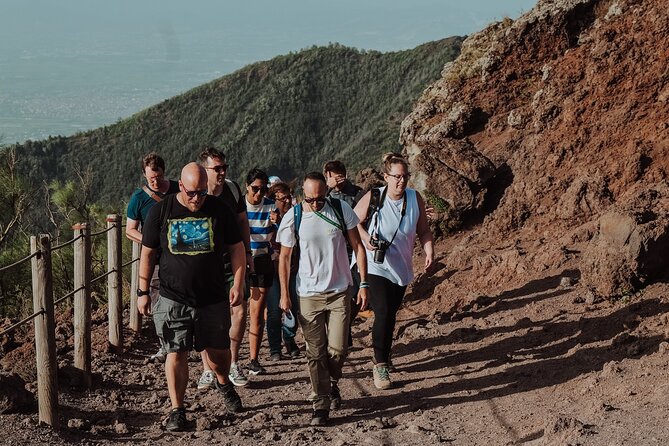 Mount Vesuvius Tour from Pompeii Led by an Expert Guide - Who this tour suits best (and who should think twice)