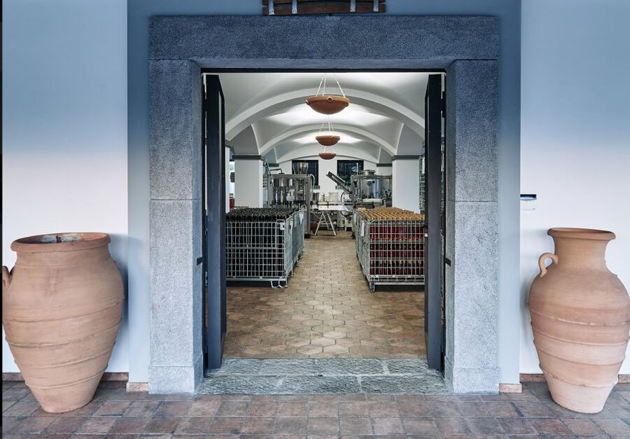 Mount Vesuvius: Vineyard Tour with Wine Tasting and Lunch - Should you book this Vesuvius wine-and-lunch stop?
