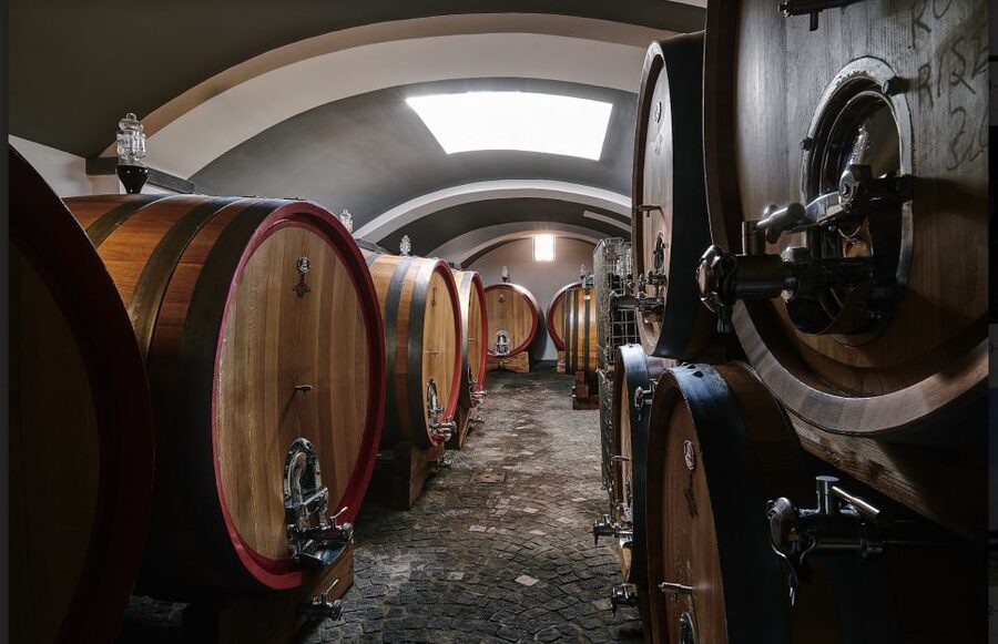 Mount Vesuvius: Vineyard Tour with Wine Tasting and Lunch - Organic Lacryma Christi DOC tasting: white, rosé, red, and two levels