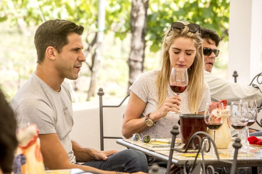 Mount Vesuvius: Vineyard Tour with Wine Tasting and Lunch - Getting there without pickup: meeting point, shuttle priority, and taxi reality