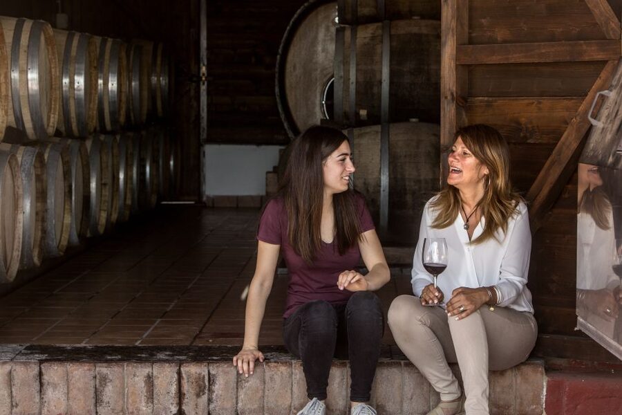 Mount Vesuvius: Vineyard Tour with Wine Tasting and Lunch - Who this tour fits best (and who should skip it)