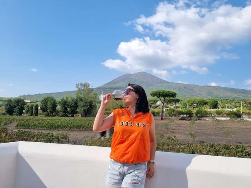 Mount Vesuvius: Vineyards Tour with Wine Tasting and Lunch - Vineyard walk in Vesuvius National Park: views first, then wine