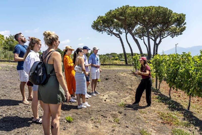 Mount Vesuvius: Vineyards Tour with Wine Tasting and Lunch - Cantina del Vesuvio Winery: how your wines get made