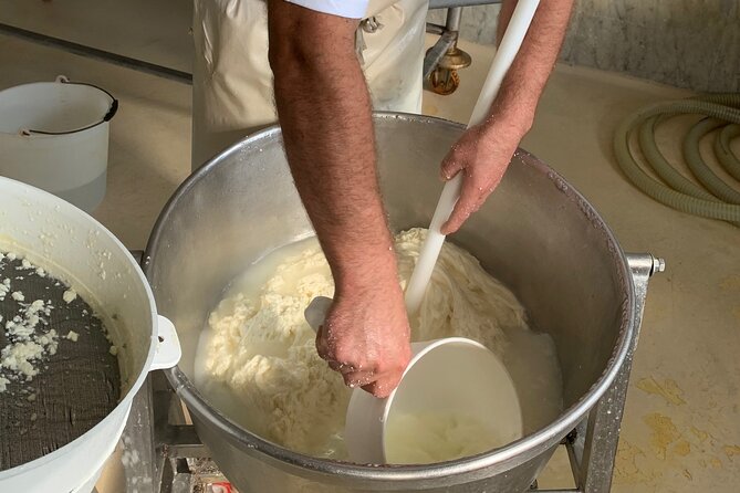 Mozzarella Experience and tasting in Naples - Price and logistics: is $81.70 actually good value?