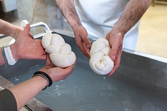 Mozzarella Experience and tasting in Naples - Should you book this mozzarella experience in Naples?