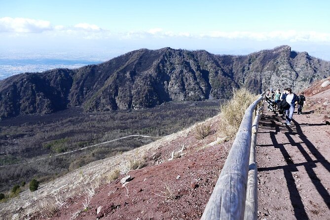 Mt Vesuvius Half-Day Trip from Naples - Driver-Guide Narration vs. On-Request Park Guides