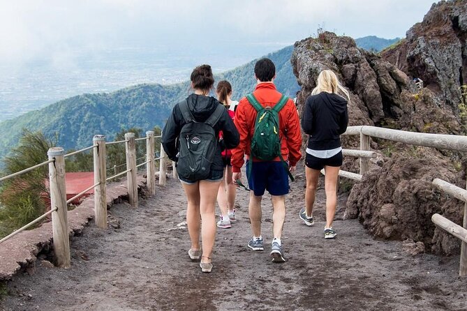 Mt. Vesuvius Tour from Naples with Lunch at a Vineyard Included - Skip-the-line ticket help: how it changes your day