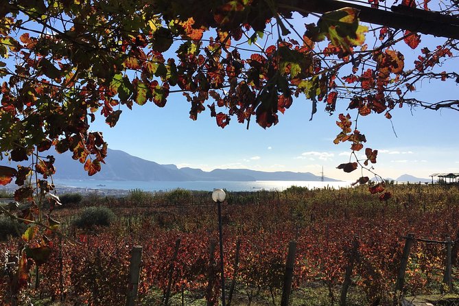 Mt. Vesuvius Wine Tasting and Lunch Experience from Pompeii - Key Highlights Worth Marking On Your Map