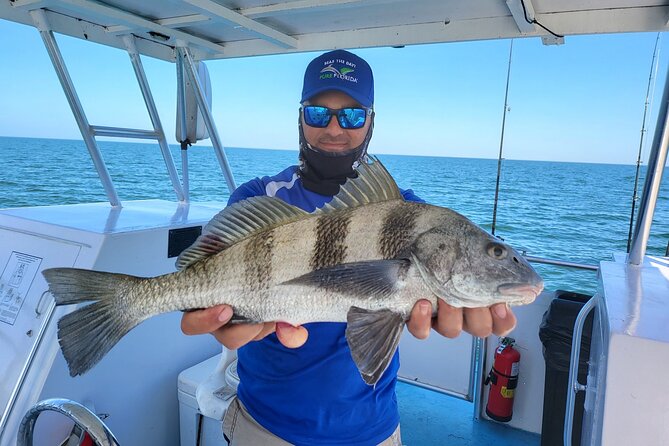 Naples Backwater/Calm Bay Fishing - Stop 3: Crayton Cove—where the day’s best action can happen