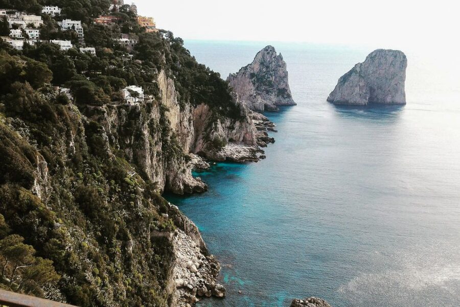 Naples: Day Trip to Pompeii and Capri - Pompeii with skip-the-line entry: what you’ll actually see