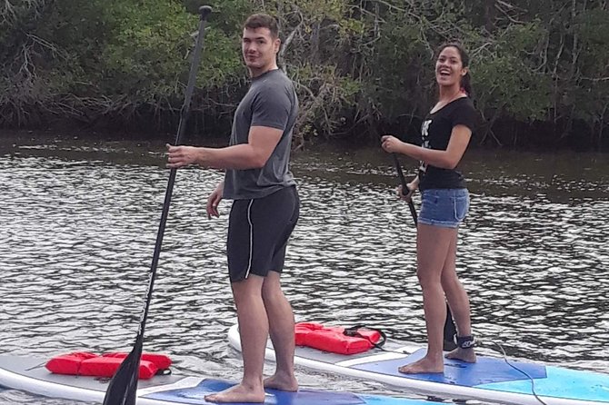 Naples Fl, Paddleboard Mangrove Forest Tour - Gordon River Greenway on SUP: what happens during the 90 minutes