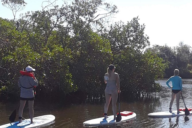 Naples Fl, Paddleboard Mangrove Forest Tour - Why the Gordon River Greenway setting feels special for city SUP