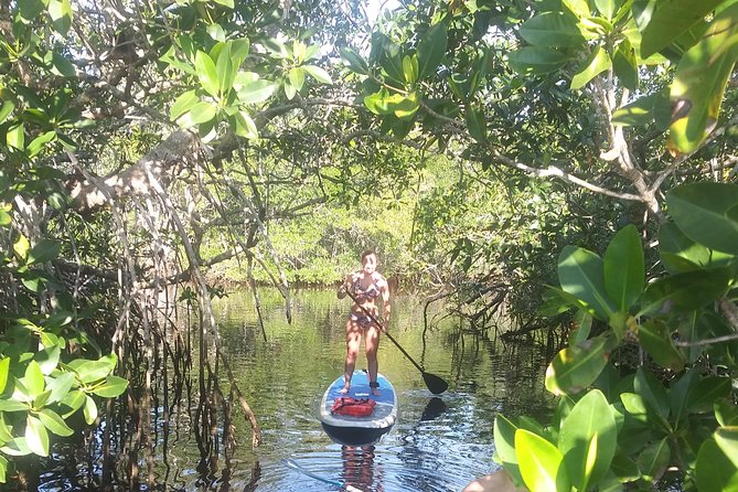 Naples Fl, Paddleboard Mangrove Forest Tour - When things don’t go perfectly: weather and meeting details