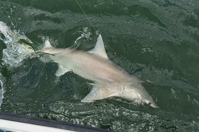 Naples Inshore Fishing Charters - The on-water route: Gordon Pass and Dollar Bay (plus what that implies)