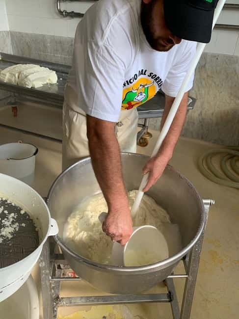 Naples: Mozzarella Experience, Taste of Southern Italy - Naples Mozzarella Experience at Caseificio dal Sorrentino: More Than Cheese Bites