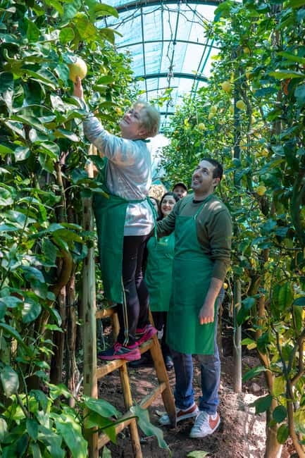 Naples: Mozzarella Experience, Taste of Southern Italy - The Lemon-and-Rose Garden Interlude: Where the Flavors Connect
