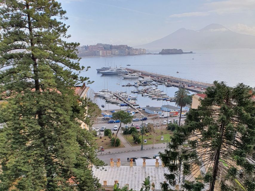 Naples: Naples, Pompeii, and Vesuvius Full-Day Tour - Price Value: What $141.61 Buys in Real Terms