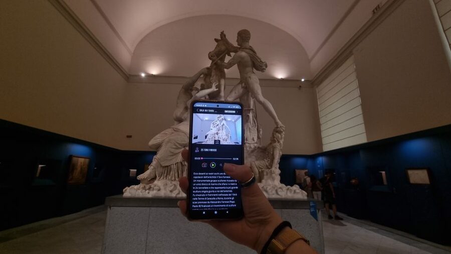 Naples: National Archaeological Museum audio guide - Getting Started: Activate the App and Prepare Your Phone