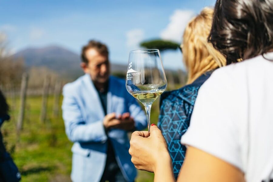 Naples: Pompeii and Mt. Vesuvius with Lunch and Wine Tasting - Vineyard Lunch and Wine Tasting: A Midday Reset, Not Just Food