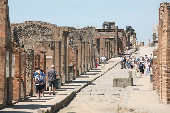 Naples, Pompeii and Sorrento full day tour from Naples - Who should book this tour, and who should skip it