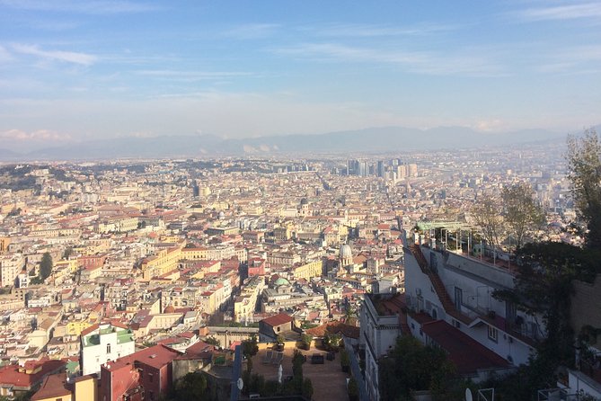 Naples, Pompeii and Vesuvius full day tour from Naples - Vesuvius National Park: The Hike, the Timing, and the Effort