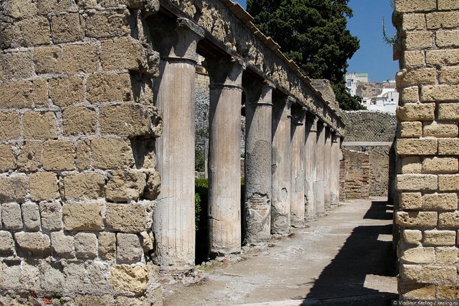 Naples: Pompeii, Herculaneum, and Vesuvius Tour by Minivan - Stop 3: Herculaneum (smaller ruins, excellent preservation)