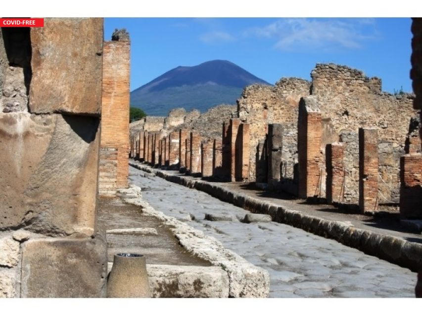 Naples: Pompeii, Herculaneum, and Vesuvius Tour by Minivan - Price and Value: Is $192.58 Worth It?